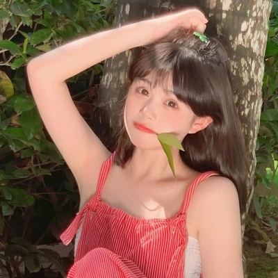 吕小布外传王者版下载